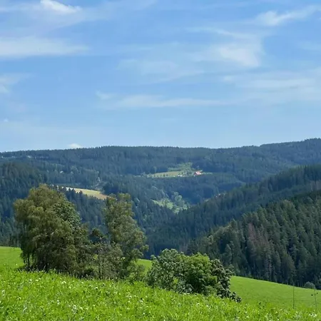 別荘 Ferienhaus, Schwarzwald, Cleaning Included Brigach