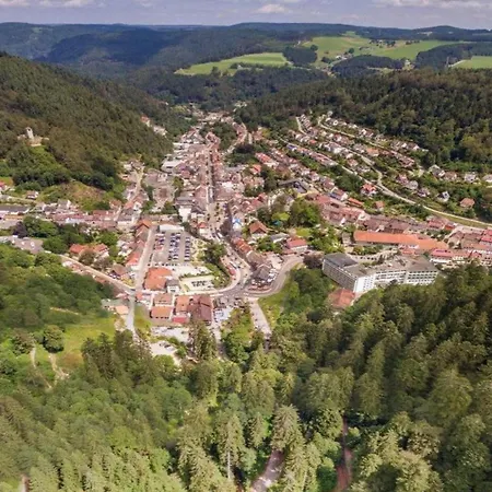 別荘 Ferienhaus, Schwarzwald, Cleaning Included Brigach