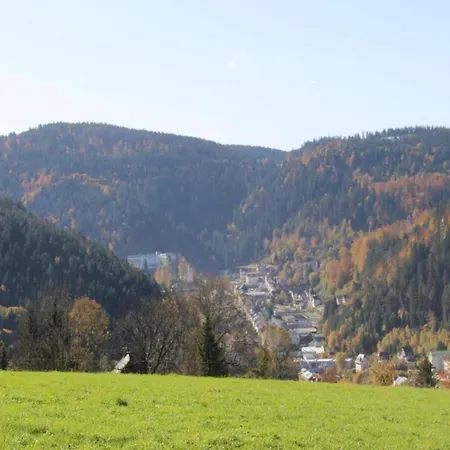 別荘 Ferienhaus, Schwarzwald, Cleaning Included *