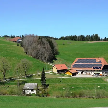 Дом отдыха Ferienhaus, Schwarzwald, Cleaning Included Brigach